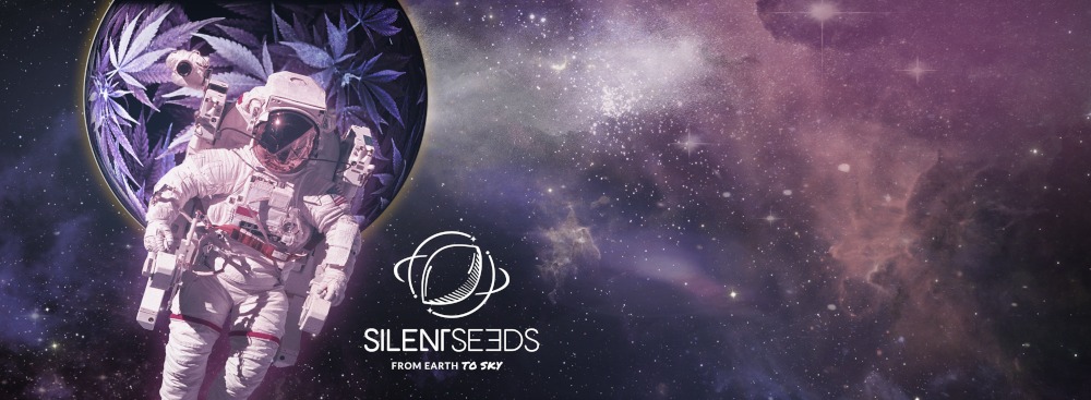 silent seeds slide